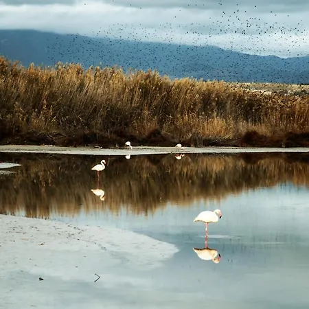 빌라 Salmagi - Sardegna *