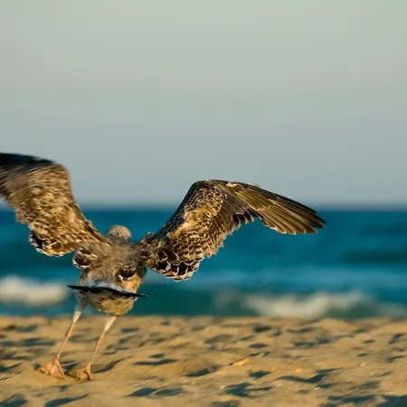 Salmagi - Sardegna 빌라 *