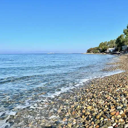 Salmagi - Sardegna Terra Mala